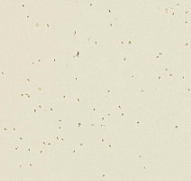 Линолеум Forbo Sphera Energetic 50208 almond фото 1 | FLOORDEALER